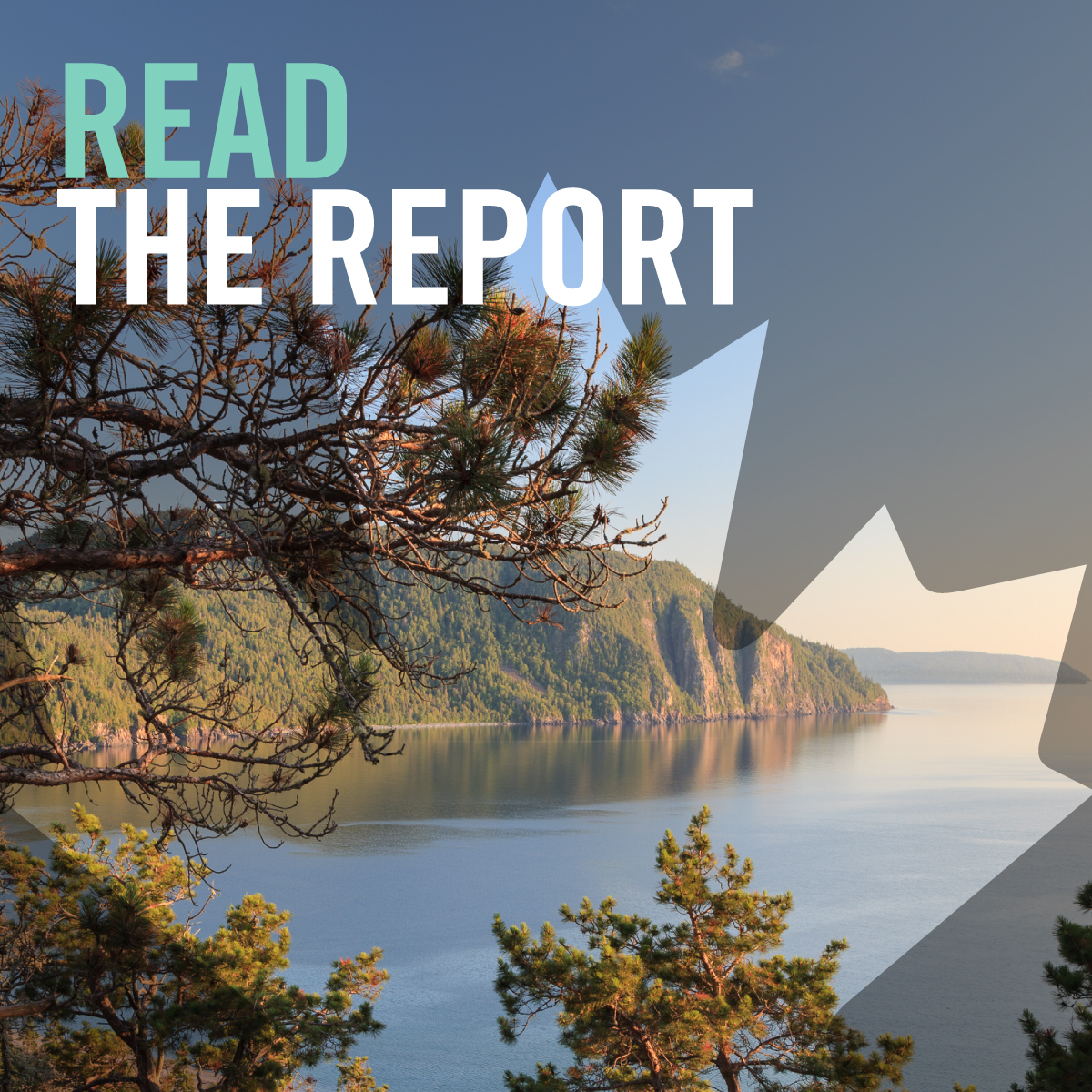 Read the Expert Panel's report